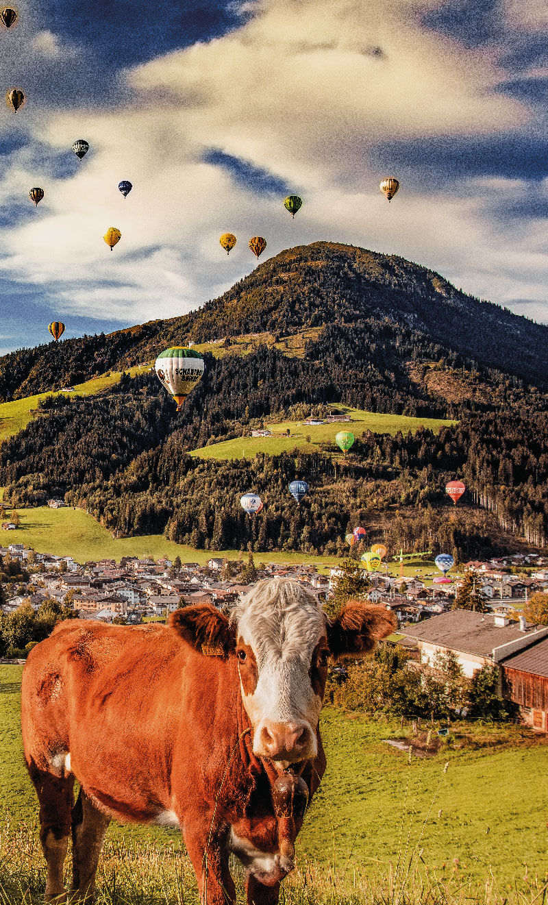 Kitzbüheler Alpen